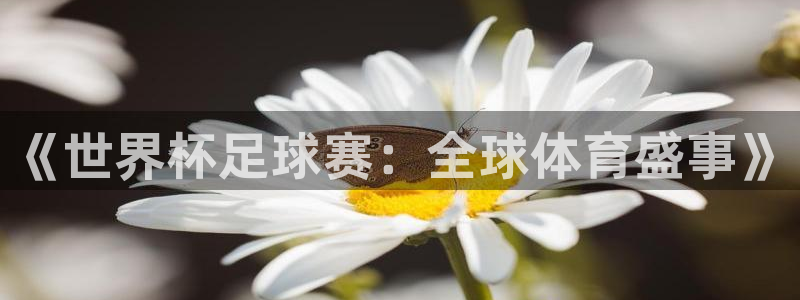 《世界杯足球赛：全球体育盛事》