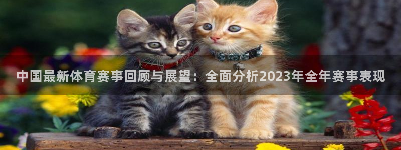 中国最新体育赛事回顾与展望：全面分析2023年全年赛事表现
