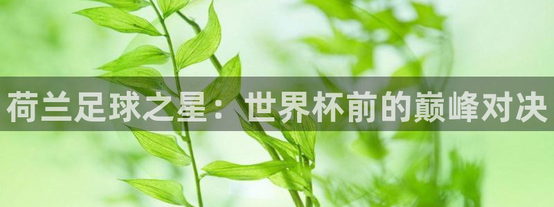 荷兰足球之星：世界杯前的巅峰对决