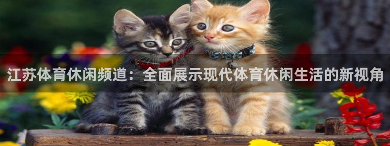 江苏体育休闲频道：全面展示现代体育休闲生活的新视角