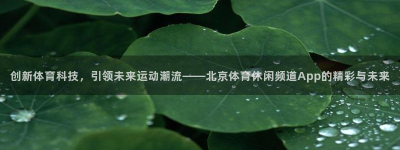 创新体育科技，引领未来运动潮流——北京体育休闲频道App的精彩与未来