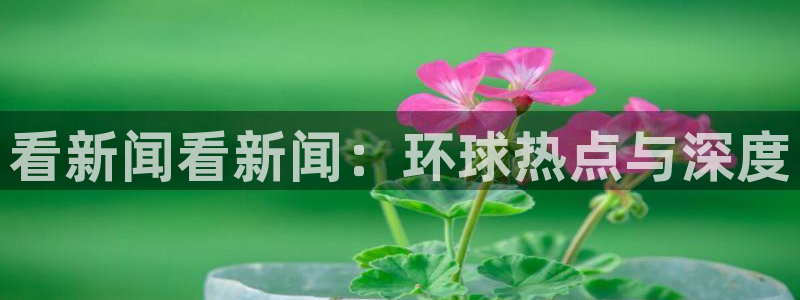 看新闻看新闻：环球热点与深度
