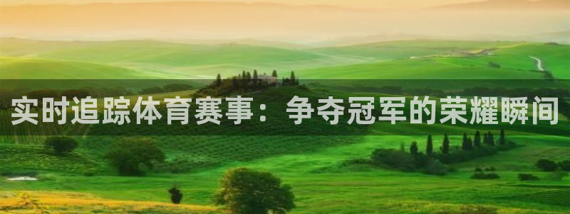 实时追踪体育赛事：争夺冠军的荣耀瞬间