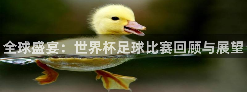 全球盛宴：世界杯足球比赛回顾与展望